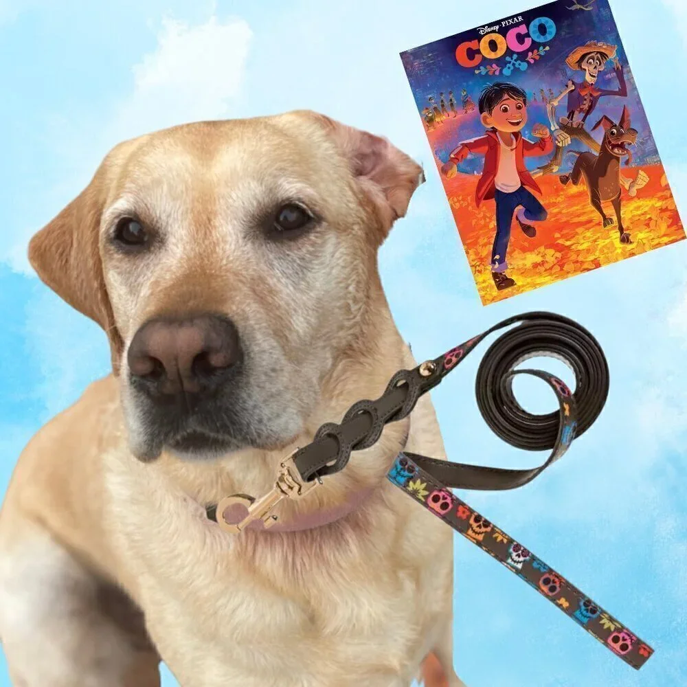 NWT Disney Dog Leash Coco - Day of the Dead Sugar Skulls - Disney Tails Pet Lead